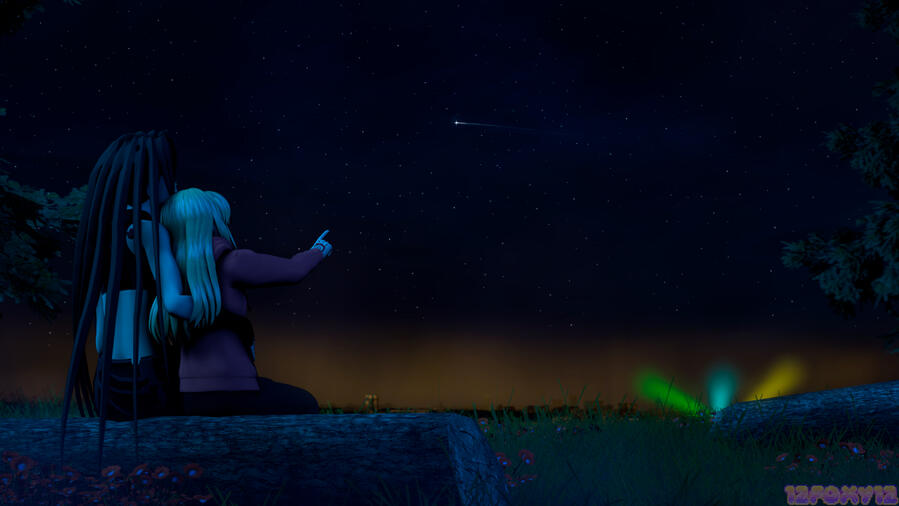 Look Envy! A shooting star! Look Envy! A shooting star!