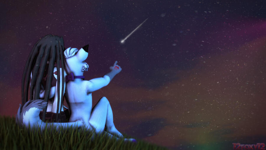 Look Env! a shooting star!